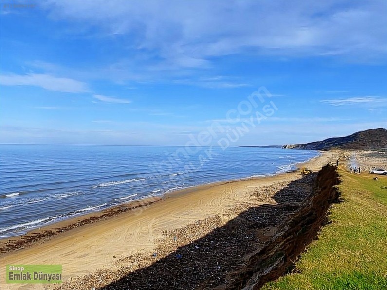 3 Konuta Uygun Yeşillik Cenneti